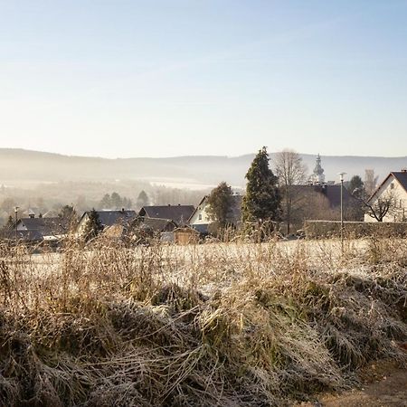 Ferienwohnung Bergaecker Neualbenreuth Ngoại thất bức ảnh